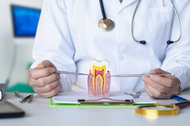 Best Emergency Denture Repair in English, IN